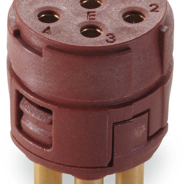 EPIC® SIGNAL M23 7E BLMS (5)